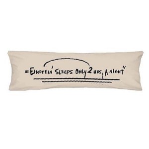 "Human Touch" Einstein Office Pillow (T31-157)